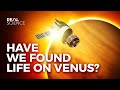 Have We Found Life on Venus?