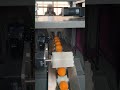 Orange packaging machine