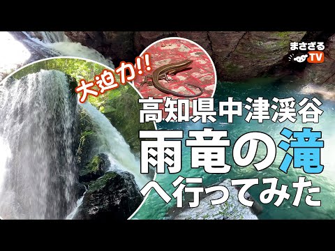 大迫力!! 高知県中津渓谷【雨竜の滝】へ行ってみた〈仁淀ブルーを初体験！〉