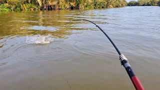 TOLONG PAMAN JORANKU DITARIK IKAN BESAR