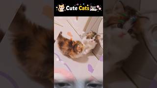 This Little Kitty Is Pure Happiness 😍🐾 #ultra #viral #ytshorts