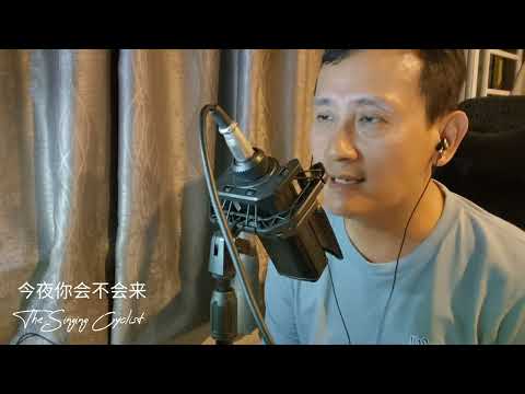 今夜你会不会来 - The Singing Cyclist Cover