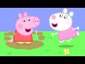 Babby Peppa and Baby Suzy | Family Kids Cartoon