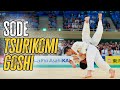 Sode Tsurikomi Goshi　袖釣込腰 [Judo Techniques, Judo Throws, and Judo Ippons!]