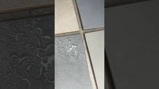Celebrity Microcement samples 100% waterproof Profile
