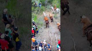 A carreira de 20 segundos #pegadeboinomato #vaqueiro #cavalo #drone