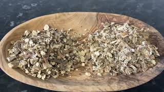 Burdock & Dandelion Root Exposed: Powerful Parasite Cleanse Benefits You Didn’t Know! Ep8 |