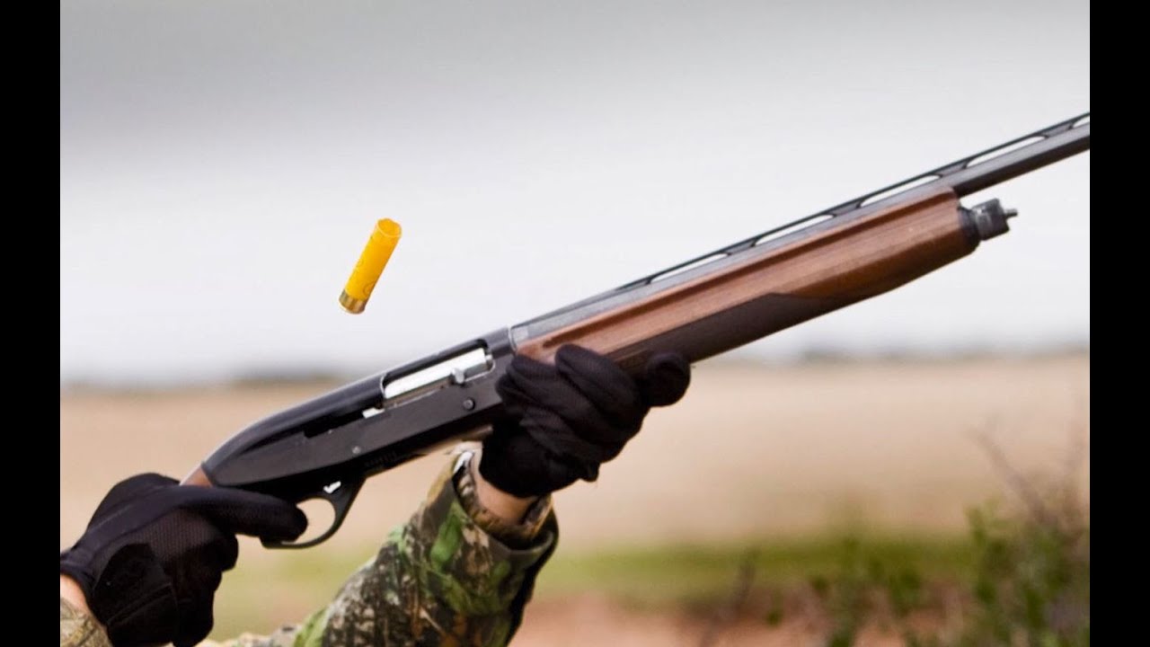 Texas Dove Hunting 2016 