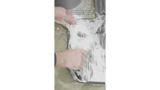Pensacola Honda // Craving Cleanliness?