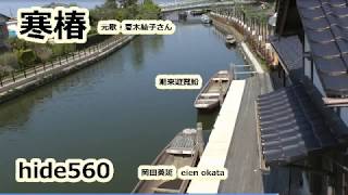 寒椿 夏木綾子 hide560 潮来花嫁 潮来の伊太郎 あやめ園 81 かんつばき