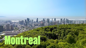 Clover: Built for the Fast Lane