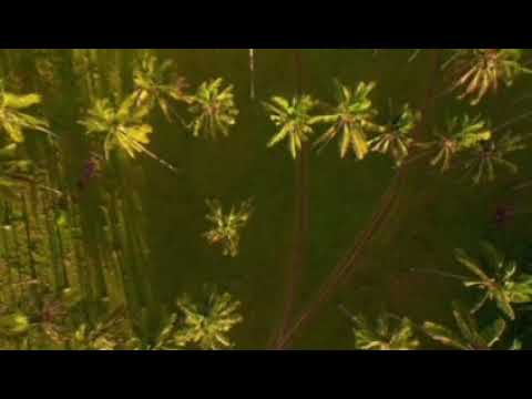 نصر الدين طوبار جل المنادى