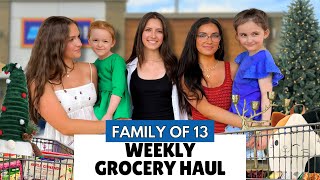 Huge Grocery Haul Under $400! Aldi Holiday Finds for My Family of 13