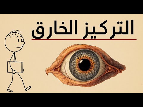 إزاي تدخل أعلى حالة تركيز في حياتك ال   ادرس أقل