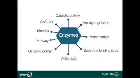 Enzymes in UniProt
