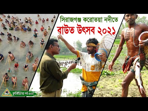 ভিডিও: জল মহিষ: বর্ণনা, বাসস্থান। মানুষ ও মহিষ