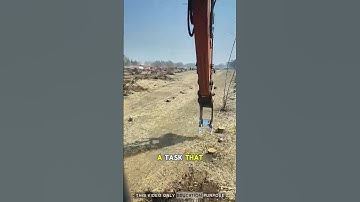 It’s truly remarkable how root digging: #treestump #viralvideo