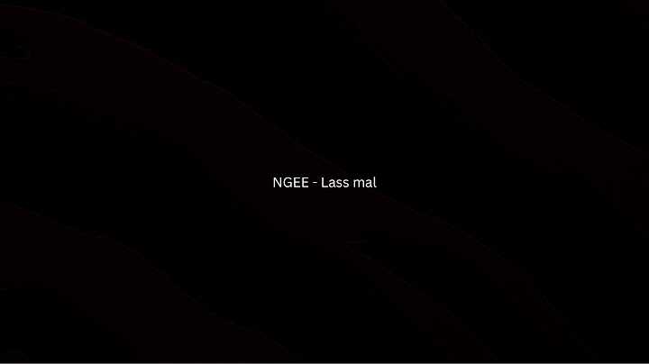 NGEE - Lass mal Lyrics