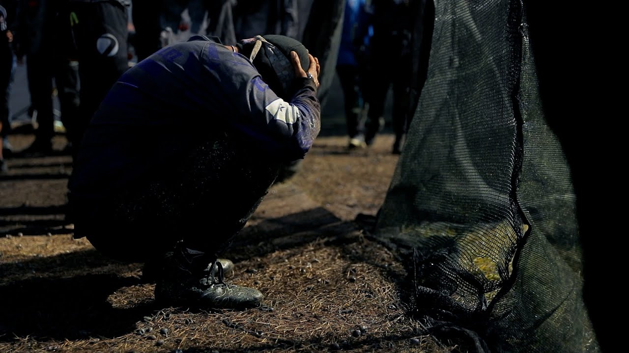 This Is Pro: The Creator's Cut - A Professional Paintball Short Film (2021)