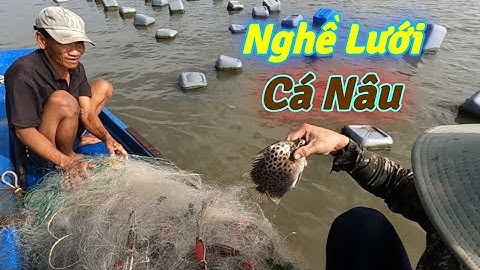 Theo Chân Chú Giỏi Làm Nghề Lưới Cá Nâu | Gia Đình Cần Giờ .61 |