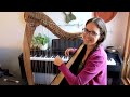 Theme from totoro arranged by kitty leung on ravenna 34 harp month 21 of playing harp