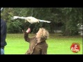 Bird Poop Attack - Funny Videos
