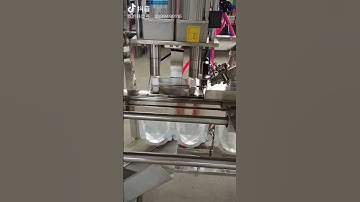 spout pouch filling capping machine