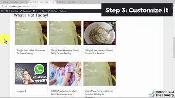 WP Content Discovery - Training Video