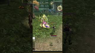 Yanlışlıkla level atladı! 😐 #knightonline #canlıyayın #knightonlinefarm #knightonlinesıfırdan