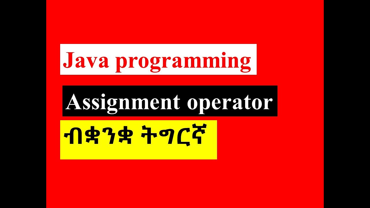 7.Assign operator in java programming/ብቋንቋ ትግርኛ - YouTube