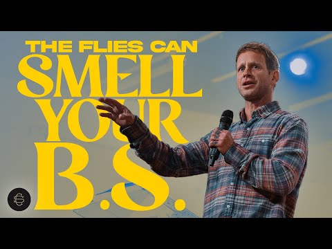 The Flies that Follow You - Seth Dahl