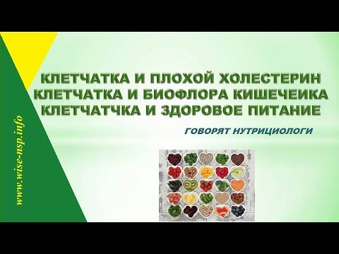 Клетчатка и правильное здоровое питание. Почему нутрициологи советуют купить клетчатку Локло