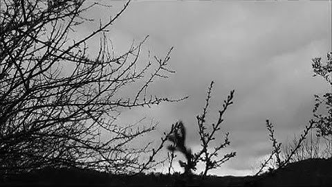 korg volca live microkorg monotron delay kaoss pad "clouds in my mind" dark drone ambient