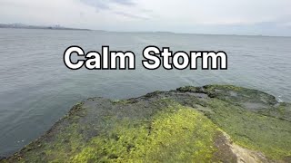 Calm Storm by the Sea | Rain, Thunder &amp; Waves Ambience