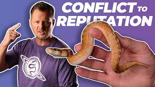 Art of Attention in the Reptile Hobby | #ballpython #snake #reptiles