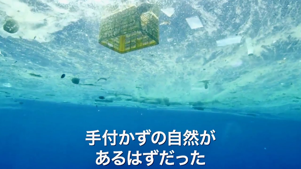 科学者は海の底に1,100万トンのプラスチックがあると推定しています