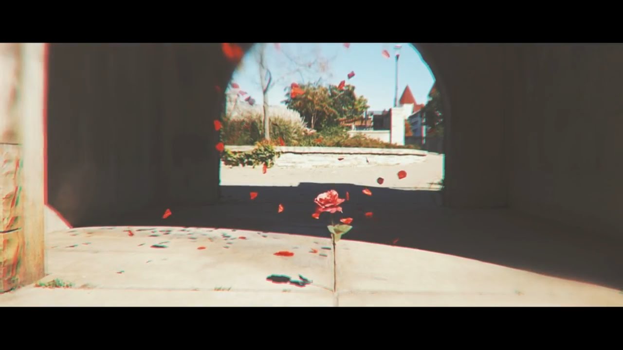 Peace Keeper - "Back(petal)" (Official Music Video)