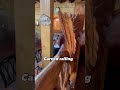 I get to show the coolest properties. This one is a cabin and the details make it very unique.