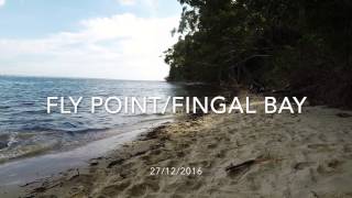 Fly Point & Fingal Bay Snorkel