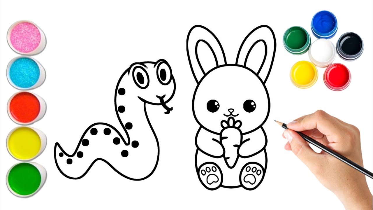 How to draw Snake & Bunny and Colouring for kids & toddlers | ABCD ...