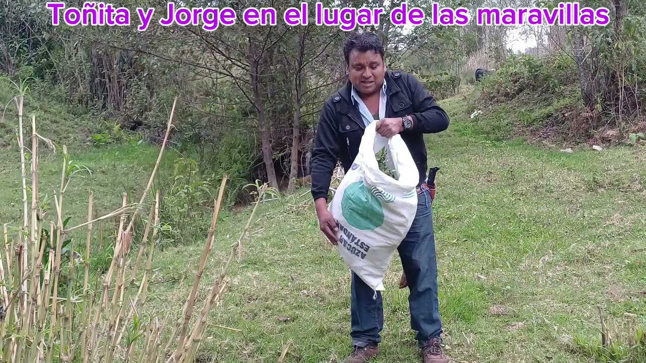 Por esta razón nuestros animalitos de rancho su carne 🍖 es 100% saludable 🐓 🐷 