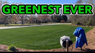 Fix Brown Spots in Grass Brown Grass to GREEN Grass by GCI Turf  13,788 views 1 month ago 16 minutes