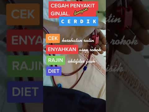 Video: Penyakit Ginjal Di Gerbils