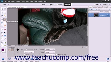 Photoshop Elements 13 Tutorial The Spot Healing Brush Tool Adobe Training