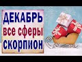 СКОРПИОН 🎄 ДЕКАБРЬ 2020 (РАБОТА, ЛЮБОВЬ, ДЕНЬГИ, ДОМ, СЮРПРИЗ, СОВЕТ) Таро прогноз гороскоп