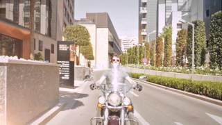 Clip-Quixer