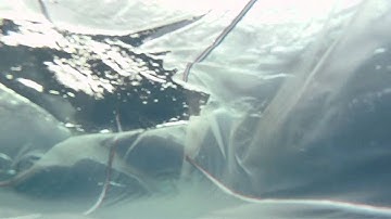 2011 Lone Ranger net sampling of plankton and plastic debris on the ocean