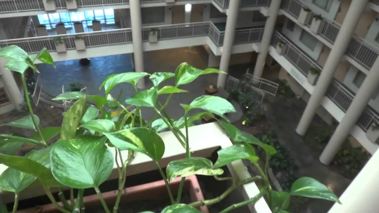 Full Hotel Tour: Embassy Suites Syracuse, NY