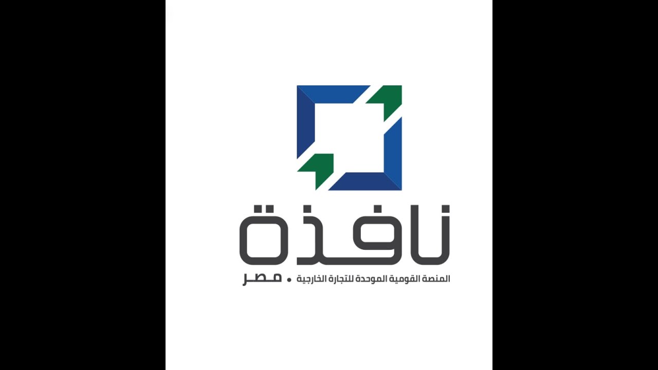 ادخال فاتورة استيراد من خلال منظومة نافذة