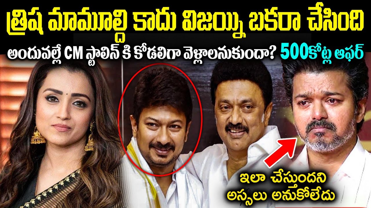 త్రిష మామూల్ది కాదు విజయ్ని బకర చేసిందా? అందువల్లే CM స్టాలిన్కి కోడలిగ వెళ్లాలనుకుందా? CR Muchatlu